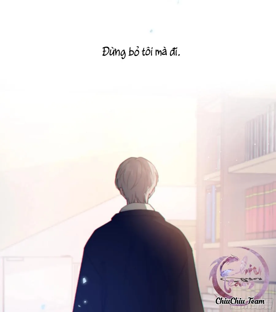 Khi Người Say Giấc Chapter 33 Trang 11