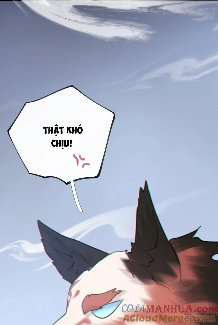 Khi Người Say Giấc Chapter 33 Trang 42