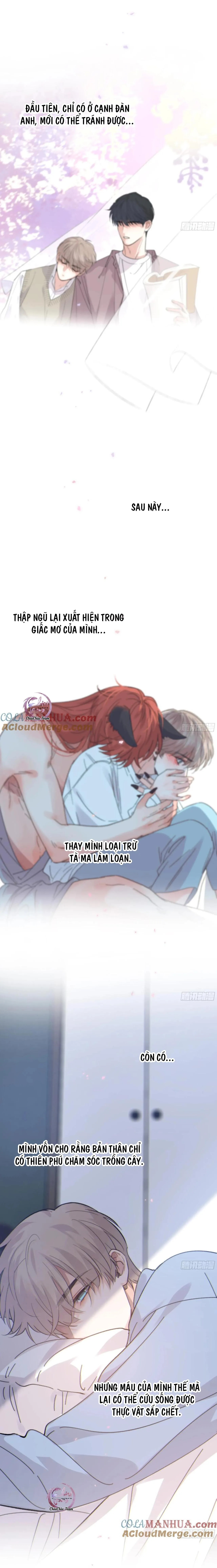 Khi Người Say Giấc Chapter 35 Trang 7