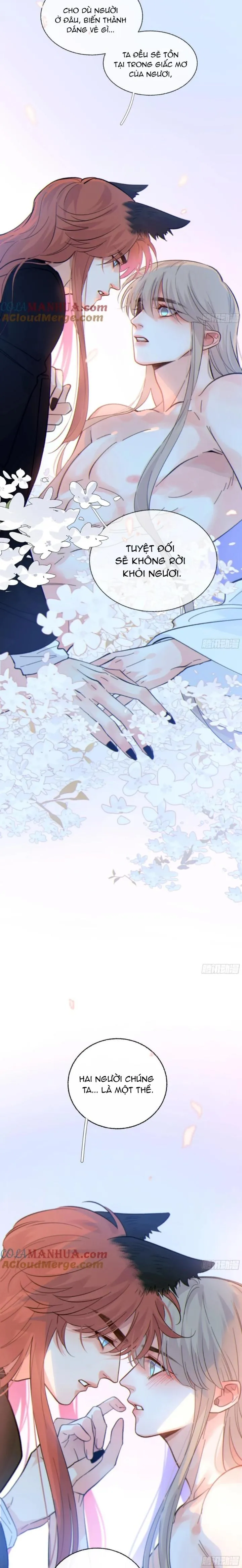 Khi Người Say Giấc Chapter 42 Trang 4