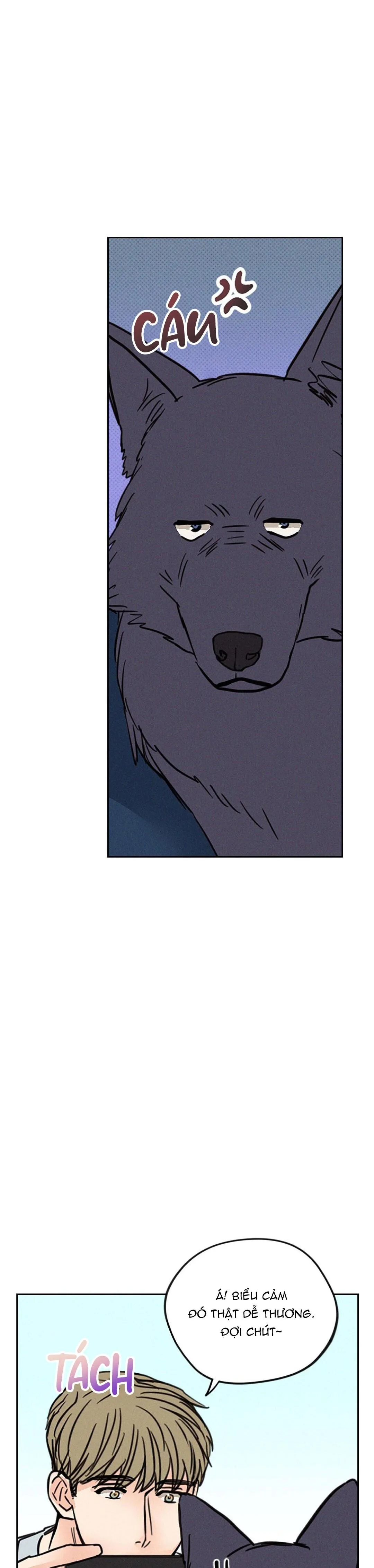 KHI TRĂNG TRÒN MỌC Chapter 5 Trang 12