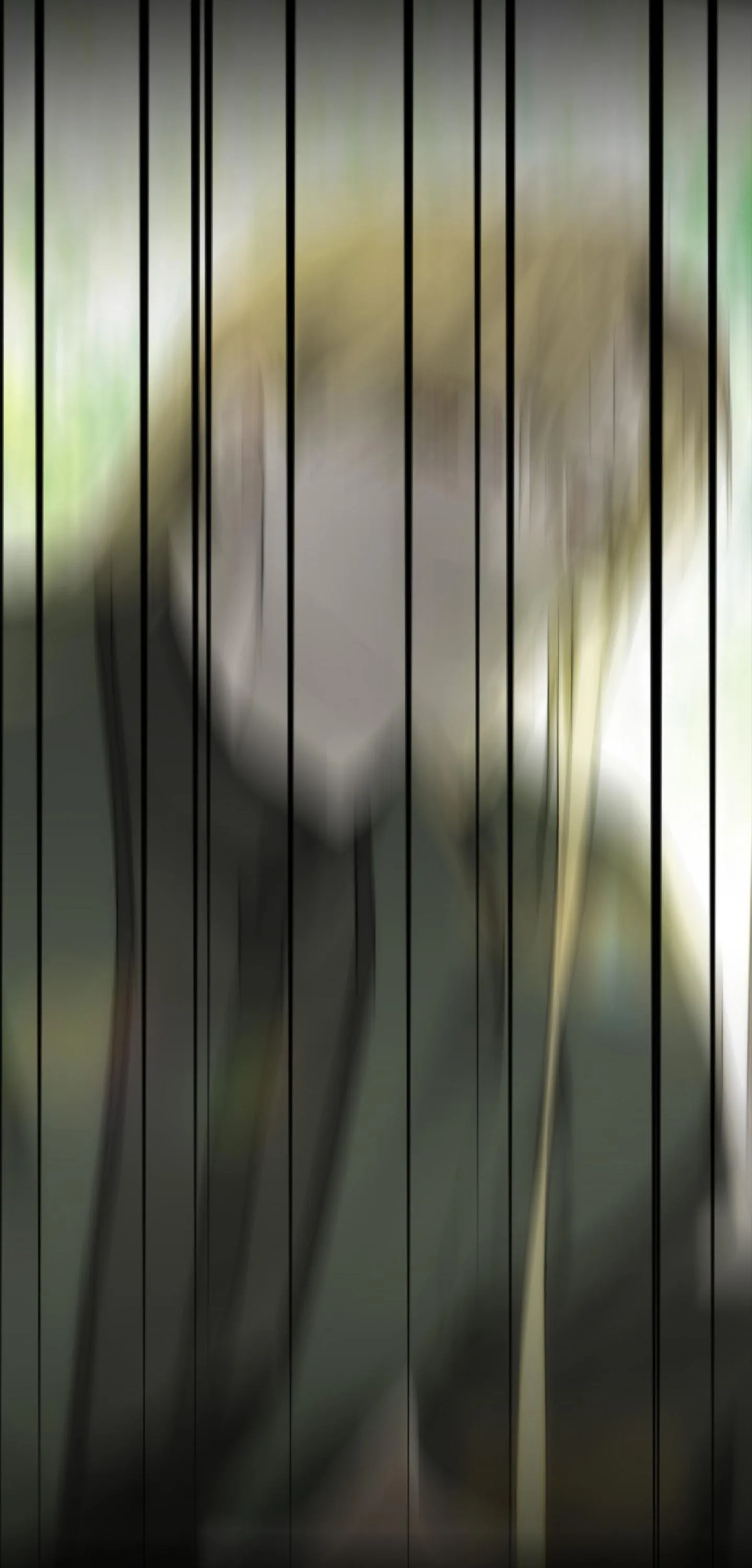 KHI VẬN MỆNH ĐƯA LỐI Chapter 5 Trang 84