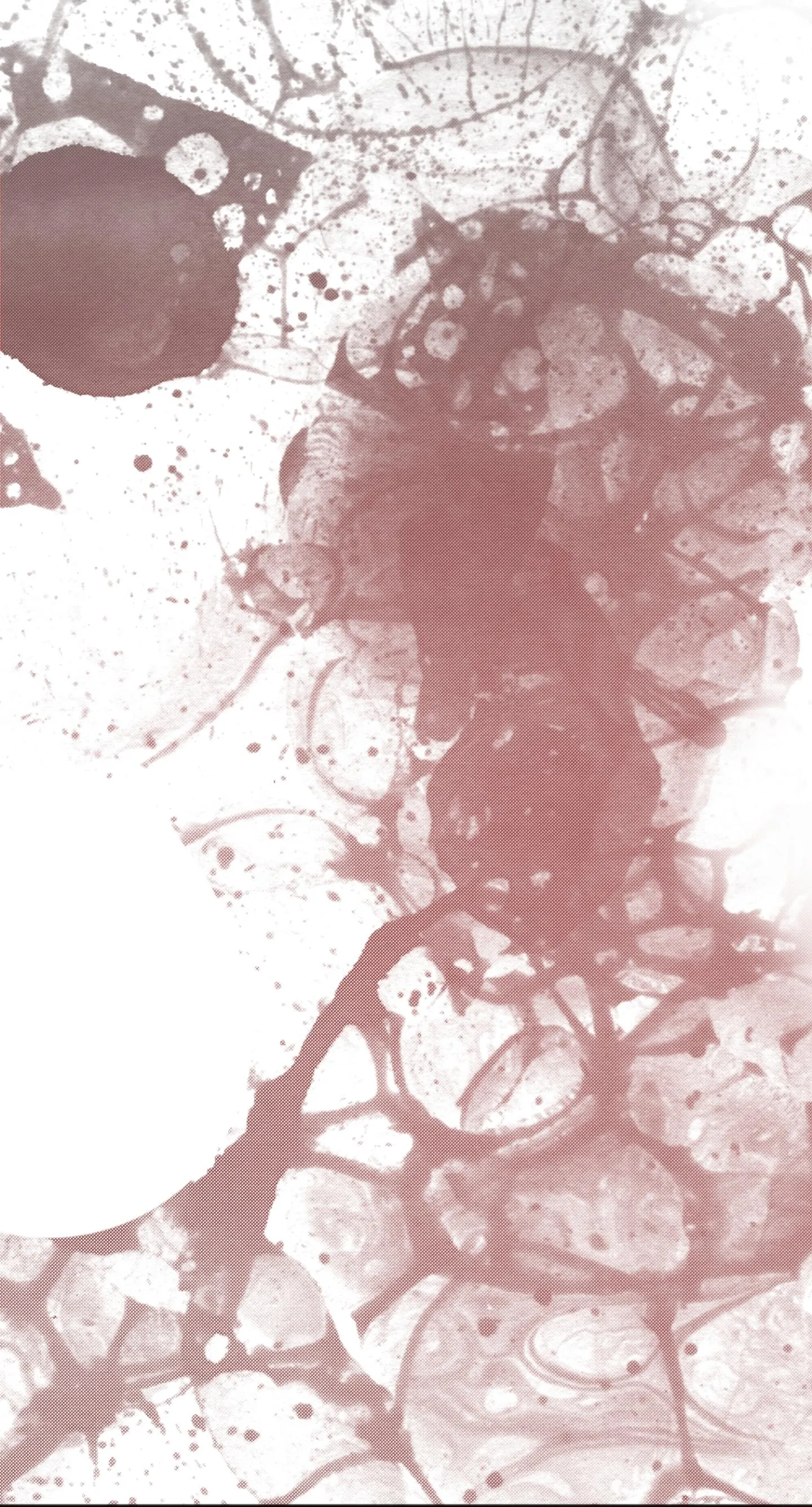 KHI VẬN MỆNH ĐƯA LỐI Chapter 7 Trang 3