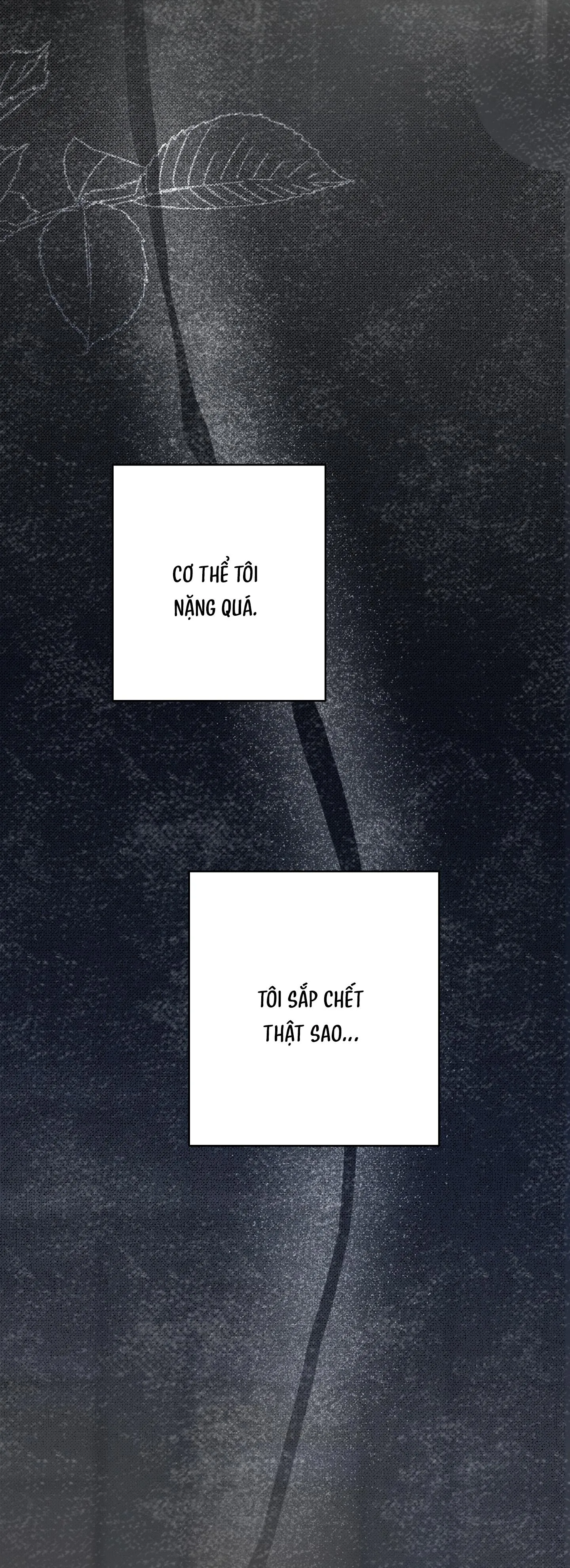 KHI VẬN MỆNH ĐƯA LỐI Chapter 7 Trang 46