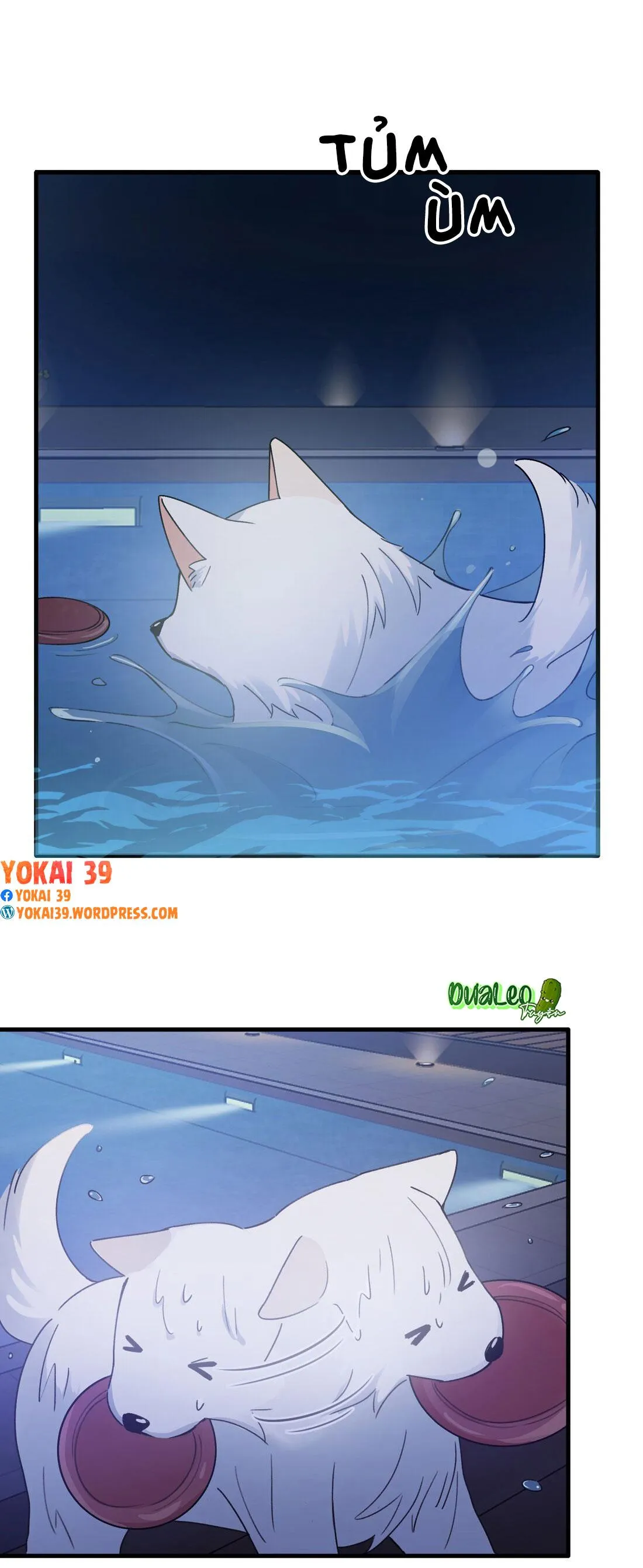 Khinh Thác Chapter 17 Trang 14