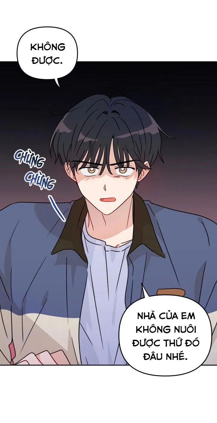 Khoảng Cách Gặp Gỡ Chapter 17 Trang 5