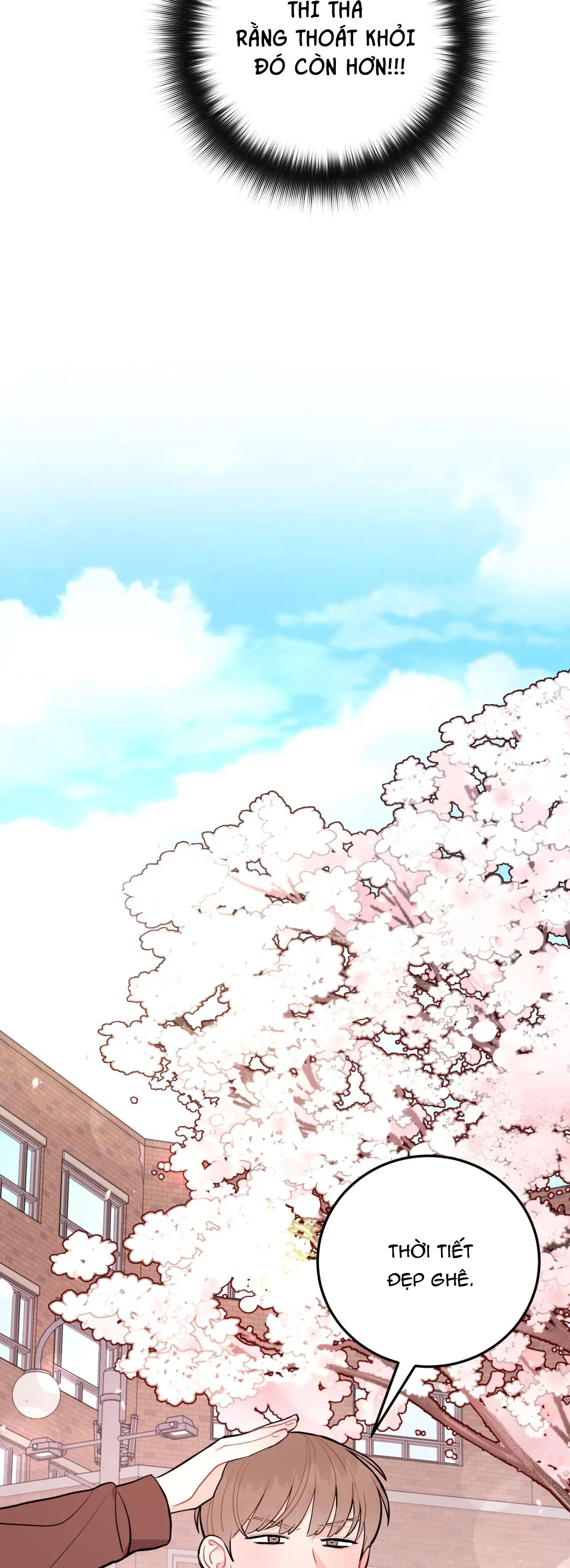 KHOẢNG CÁCH VƯỢT QUA GIỚI HẠN Chapter 17 Trang 28