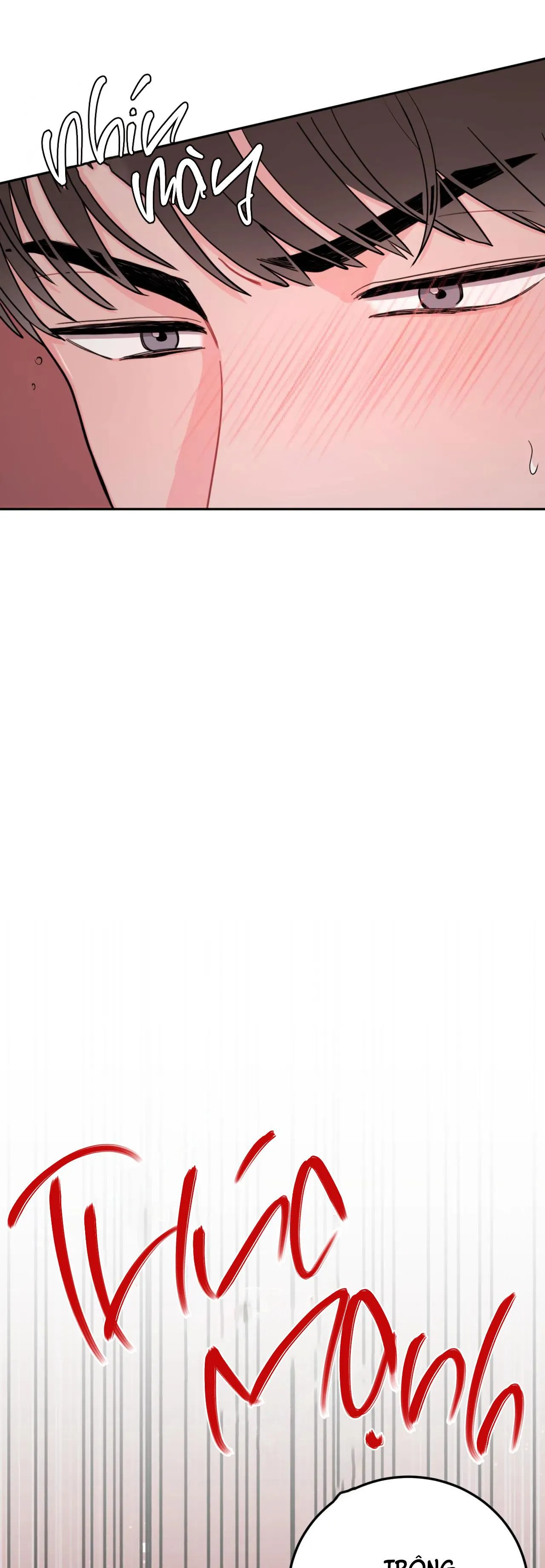 KHOẢNG CÁCH VƯỢT QUA GIỚI HẠN Chapter 29 Trang 25