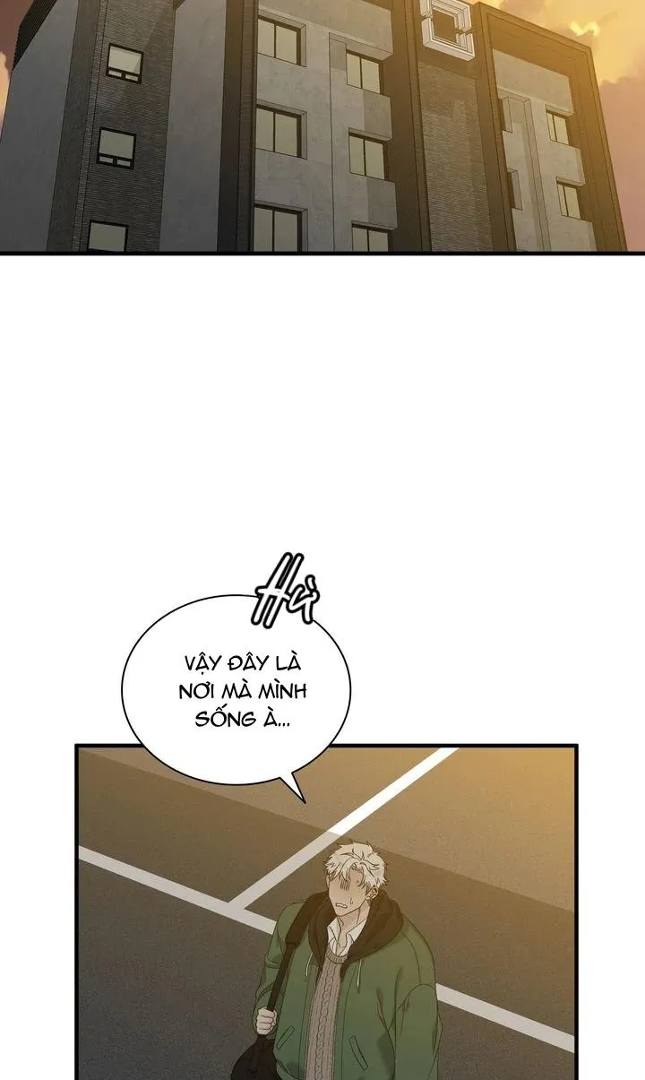 Khởi Đầu Sai Trái Chapter 1 Trang 38