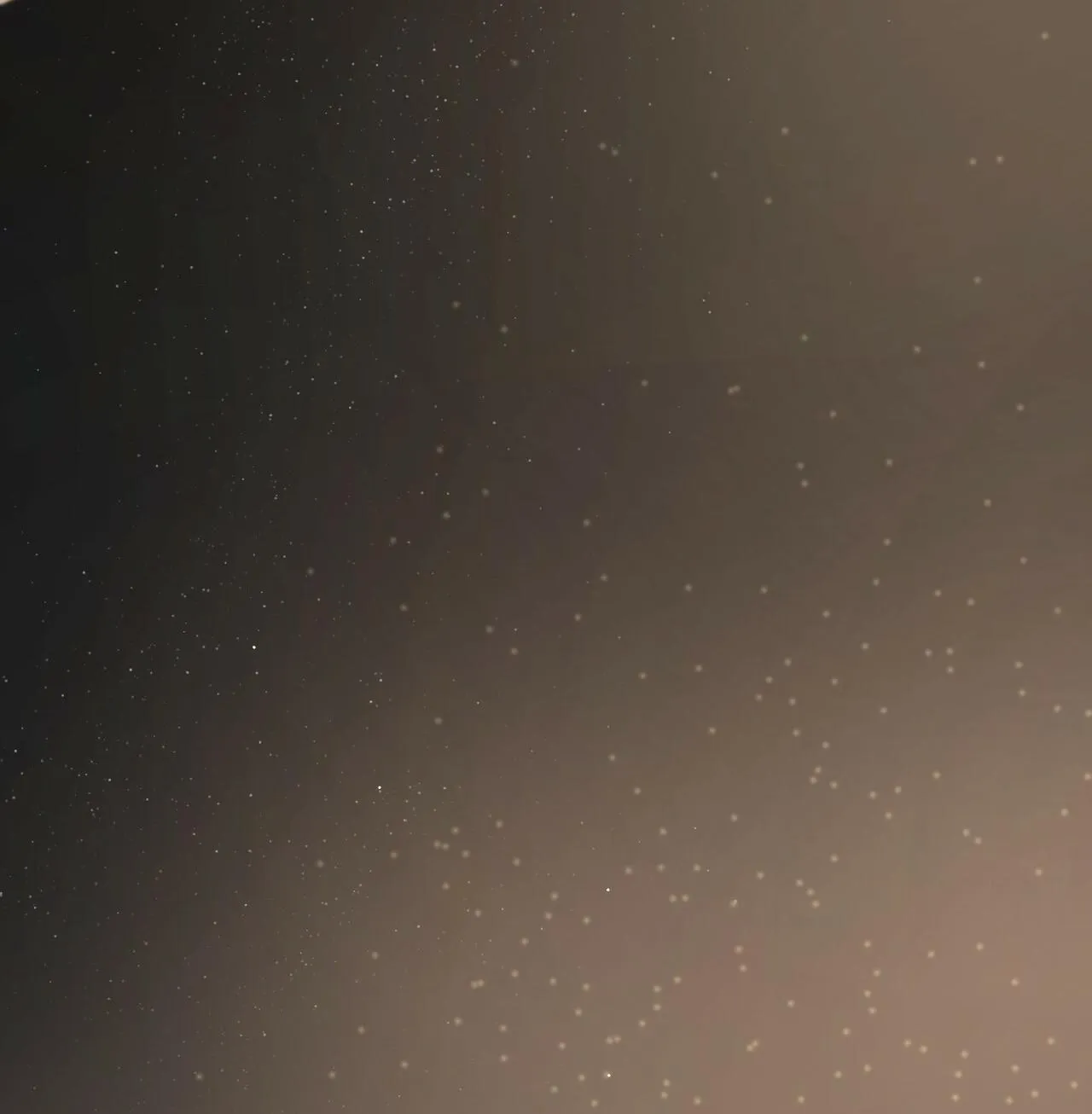 KHỞI NGUỒN SỰ SỐNG Chapter 28 Trang 104