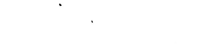 Không Hơn Không Kém Chapter 17 Trang 17