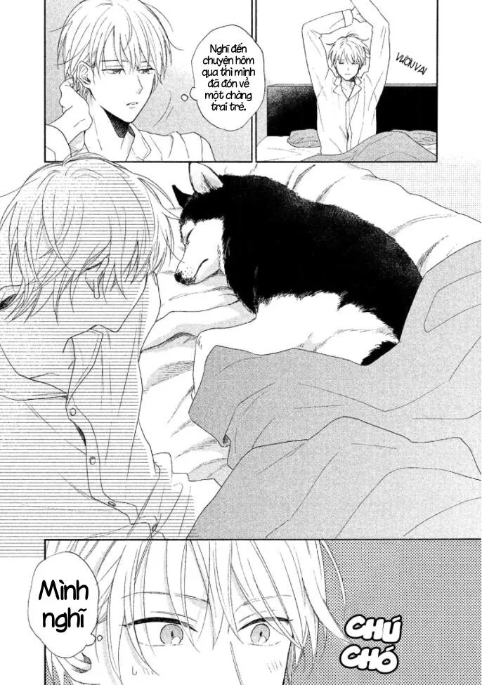 Không kỷ luật Chapter 1 Trang 11