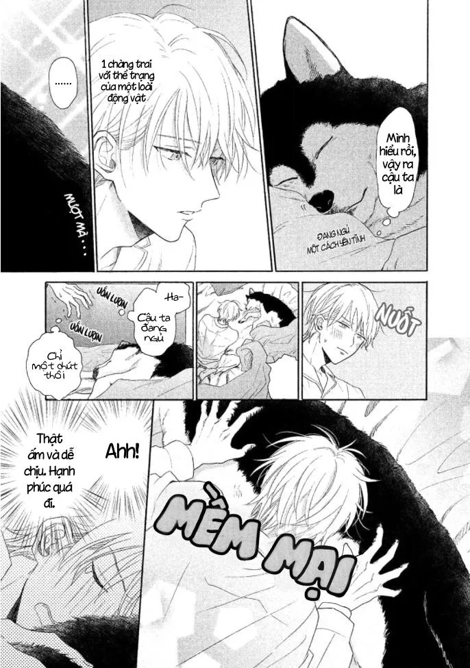 Không kỷ luật Chapter 1 Trang 12