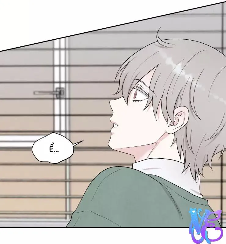 KHÔNG LÀ EM THÌ AI? Chapter 4 Trang 3