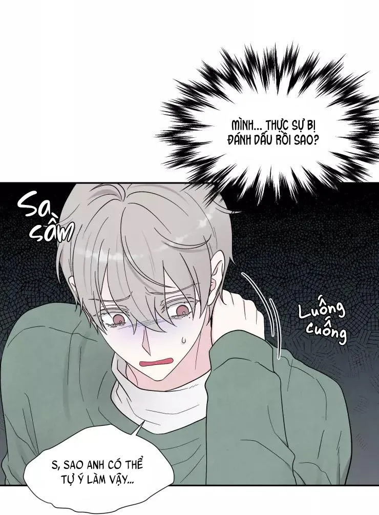 KHÔNG LÀ EM THÌ AI? Chapter 4 Trang 21