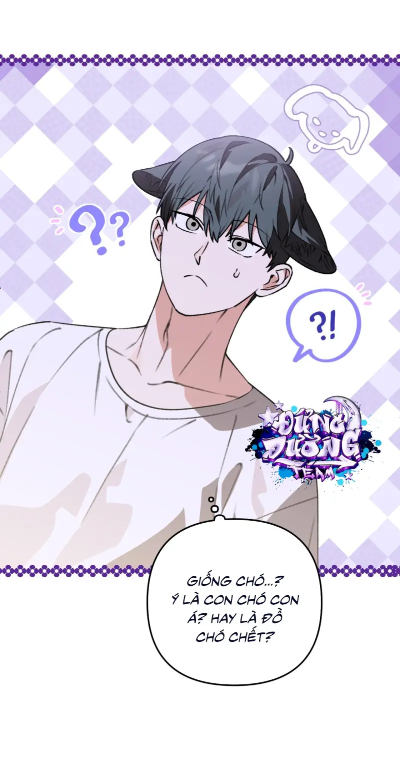 KHÔNG LÀ GÌ CẢ... Chapter 5 Trang 31