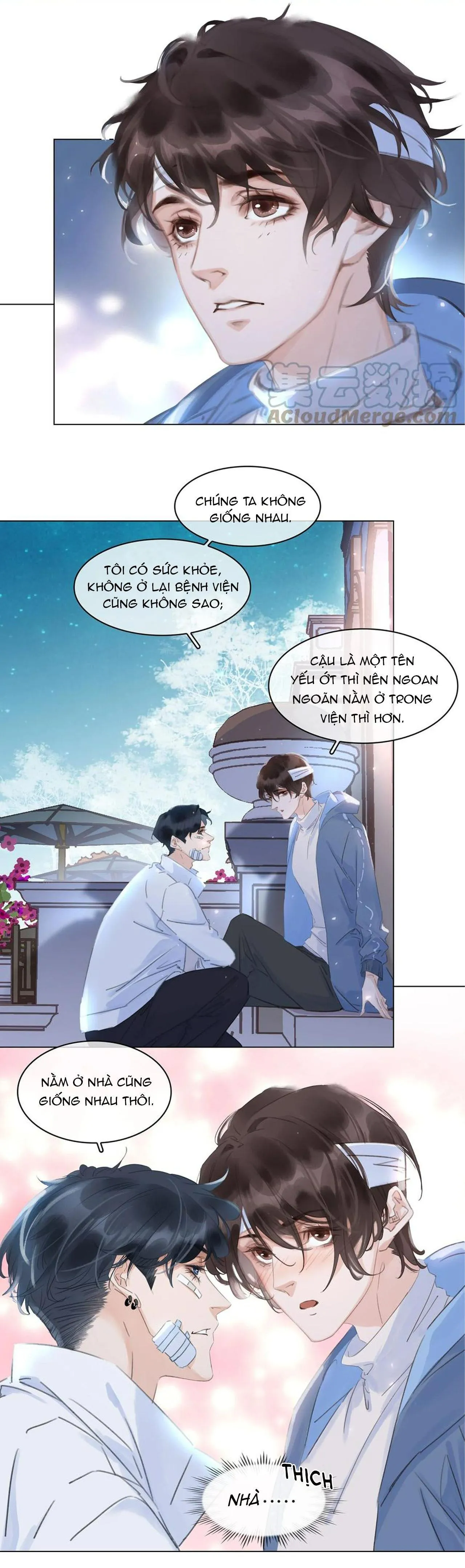 Không Làm Trai Bao! Chapter 42 Trang 13