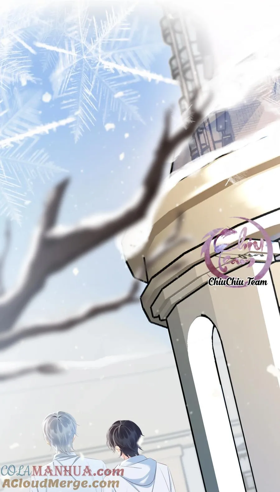 Không Làm Trai Bao! Chapter 104 Trang 5