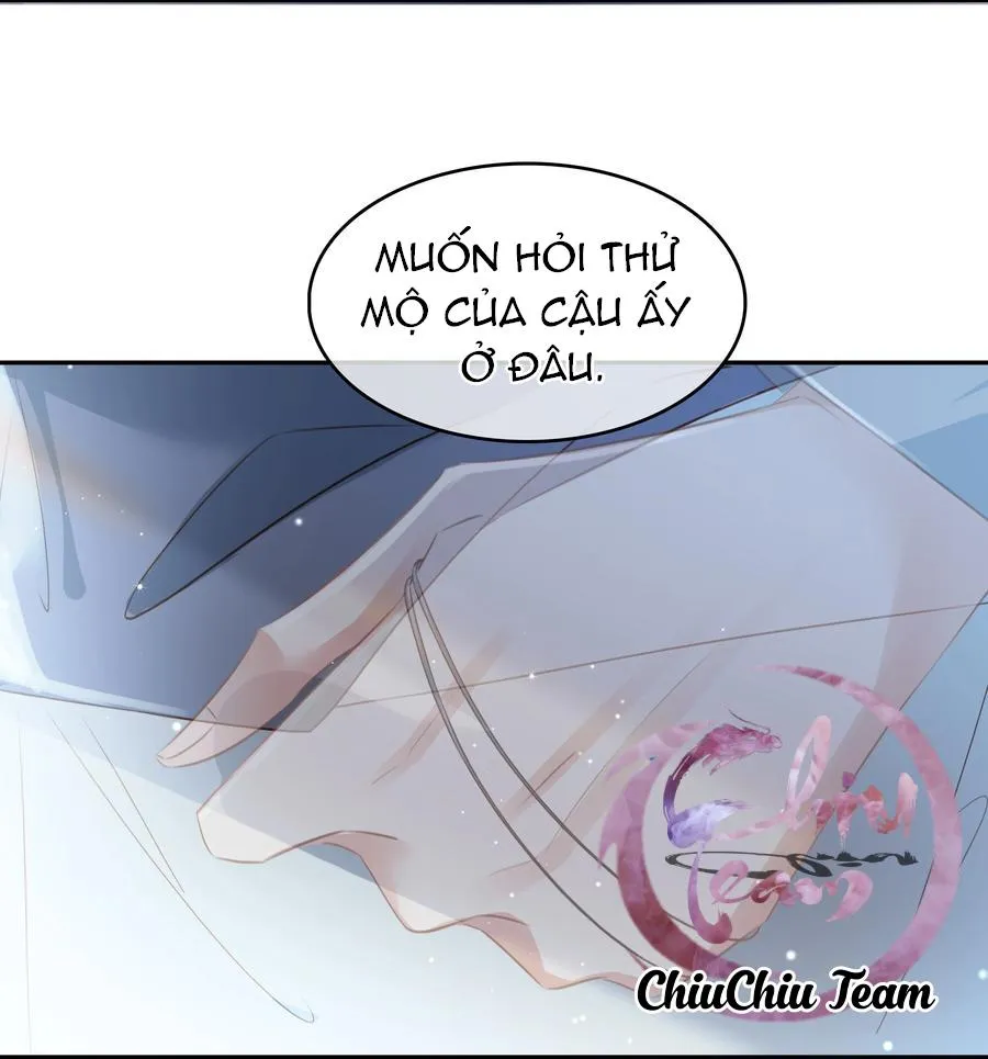 Không Làm Trai Bao! Chapter 114 Trang 13