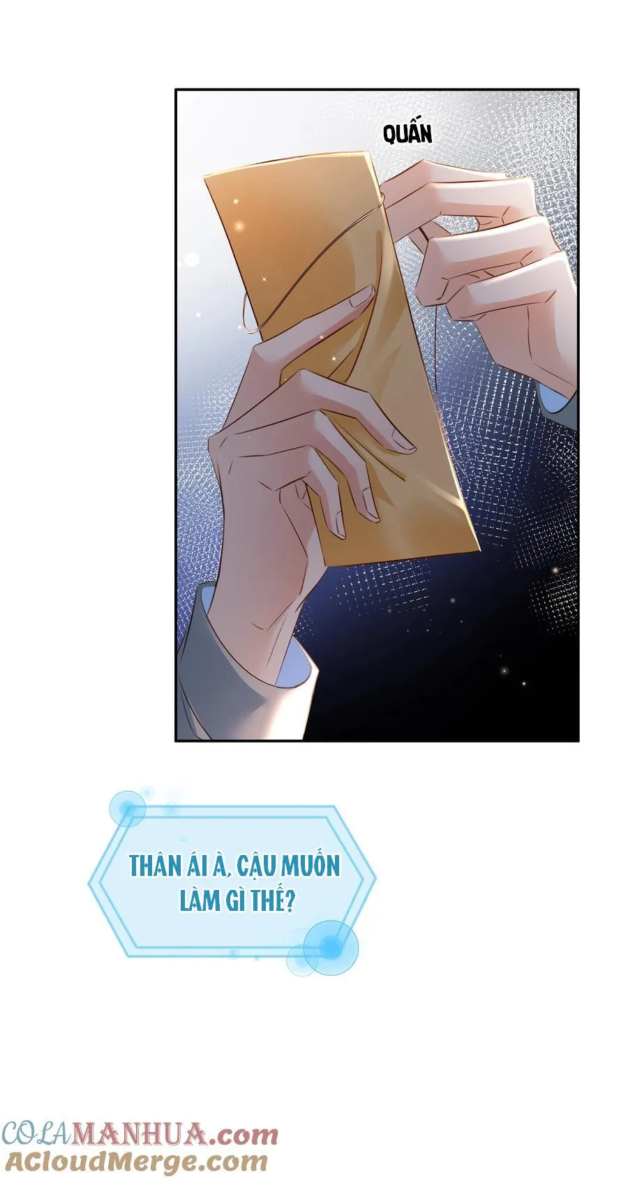 Không Làm Trai Bao! Chapter 114 Trang 17