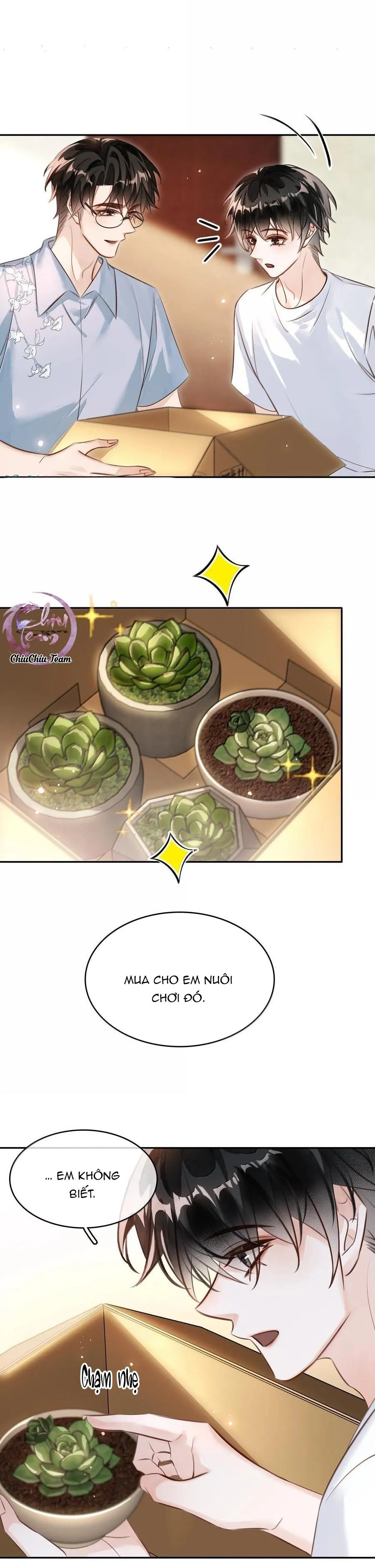 Không Làm Trai Bao! Chapter 151 Trang 12