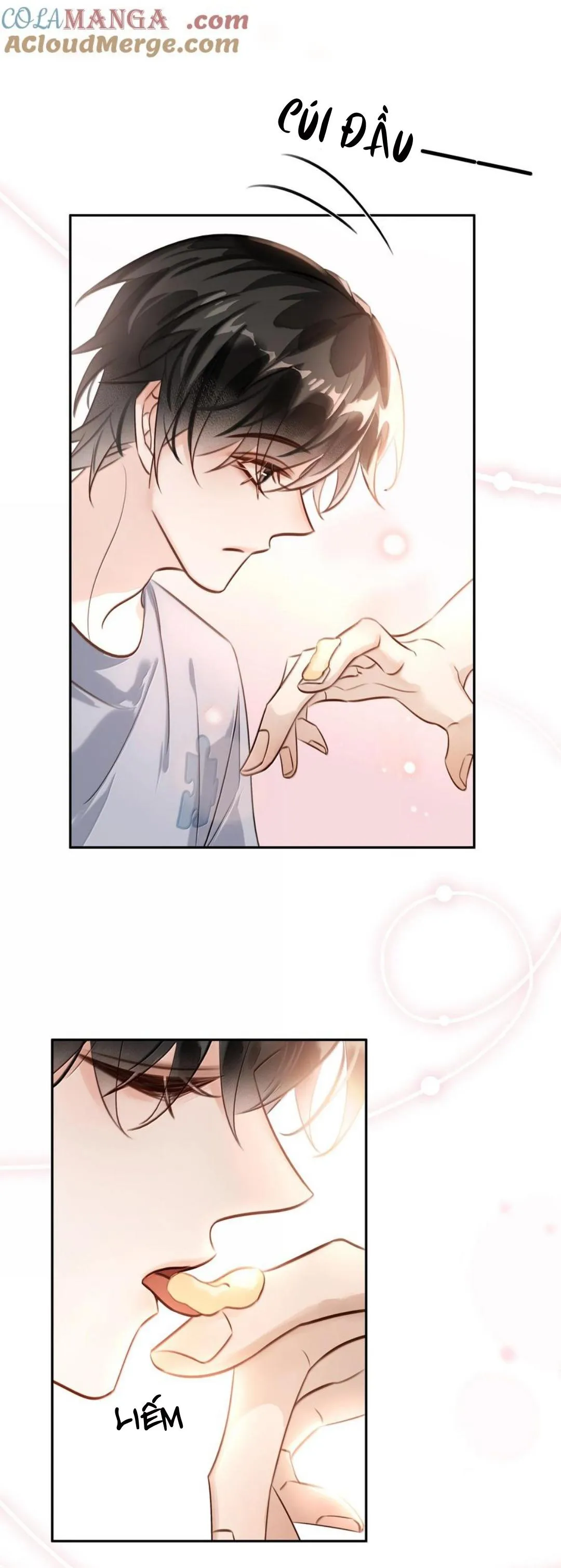 Không Làm Trai Bao! Chapter 155 Trang 5