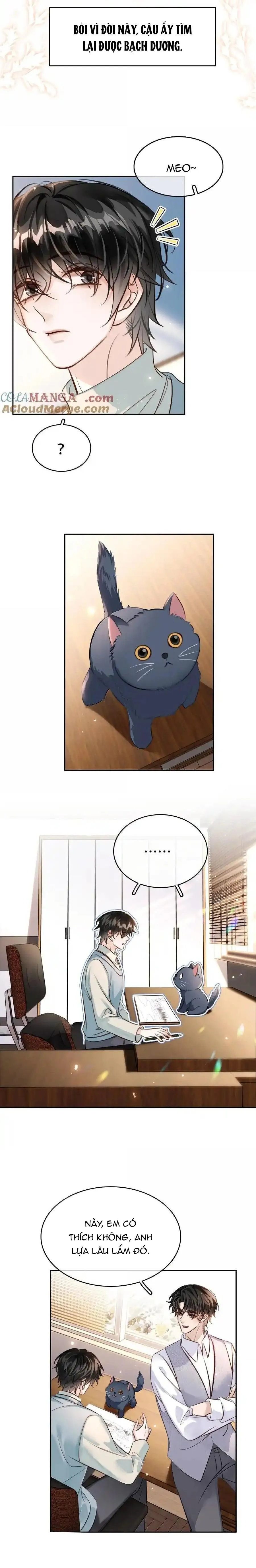 Không Làm Trai Bao! Chapter 160 Trang 5