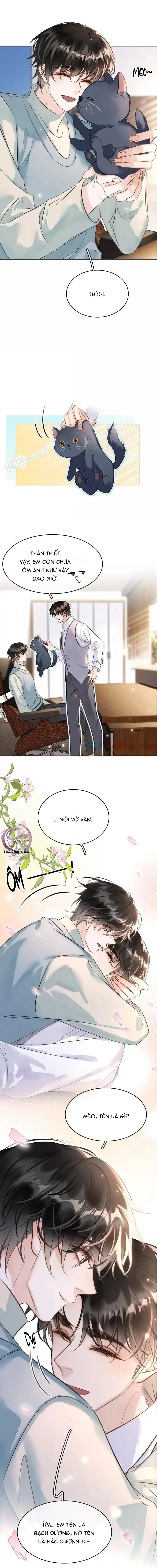 Không Làm Trai Bao! Chapter 160 Trang 6