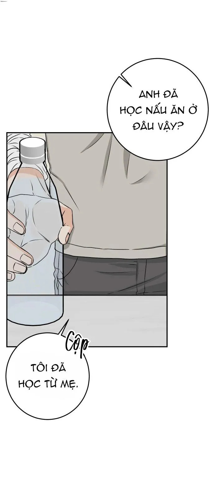 KHÔNG PHẬN SỰ CẤM VÀO Chapter 15 Trang 23