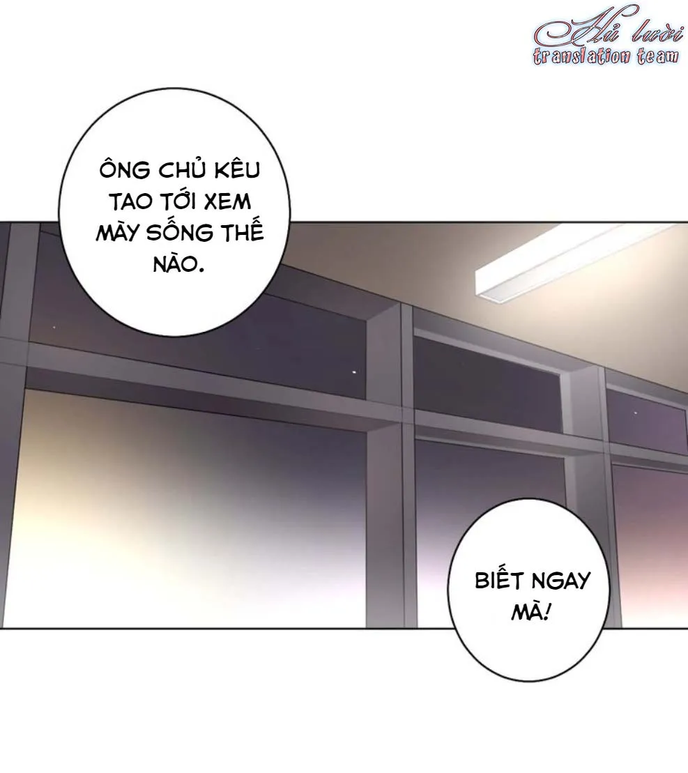 Không thể chạm tới Chapter 5 Trang 9