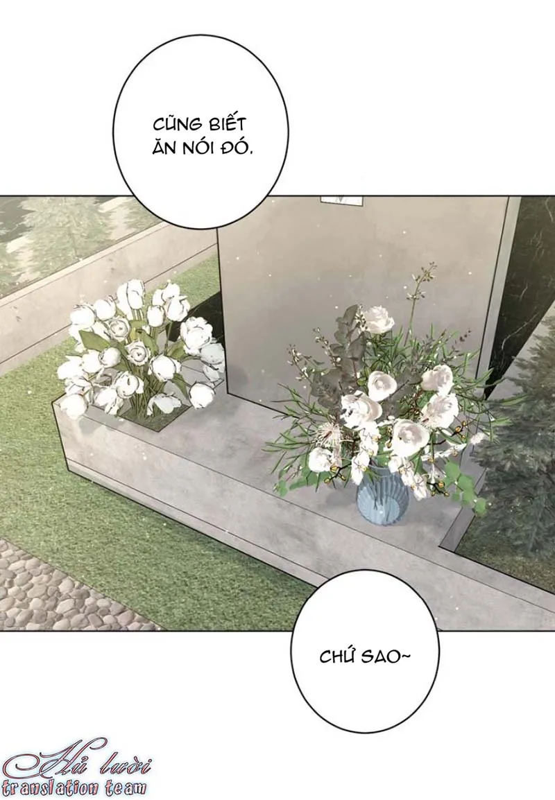 Không thể chạm tới Chapter 33 Trang 43