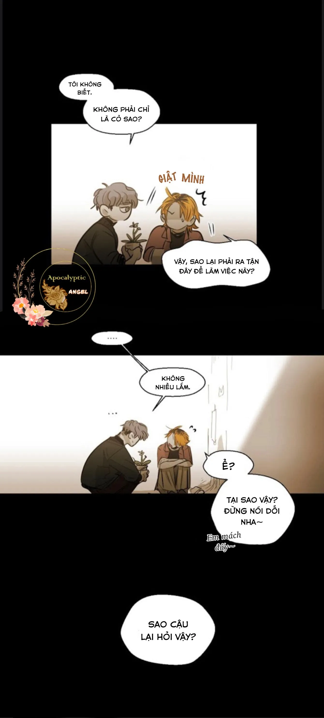 Không Thể Cưỡng Lại Chapter 2 Trang 12