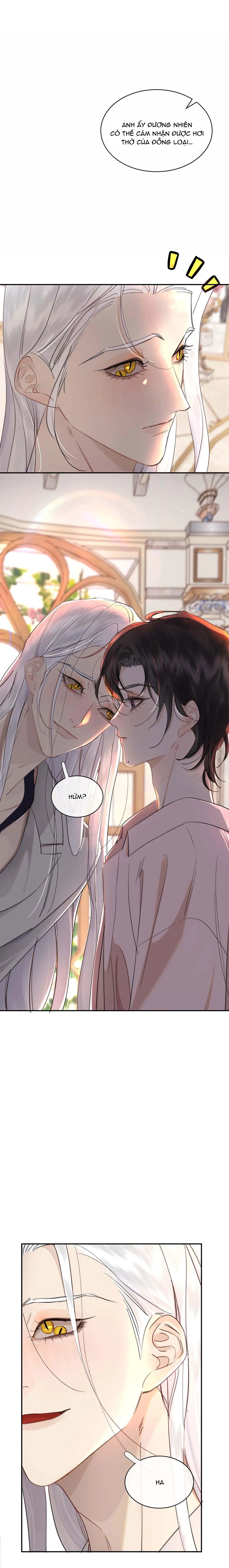 Không Thể Cưỡng Lại Người Yêu Dính Người Chapter 79 Trang 11