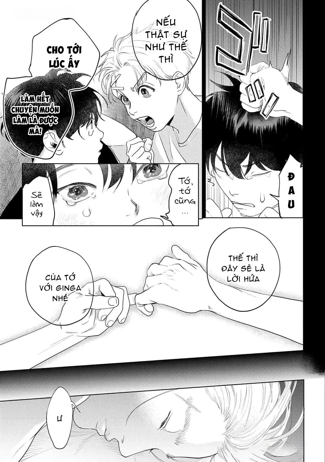 Không Thể Rời Xa, Cũng Không Thể Đánh Mất Chapter 1 Trang 4