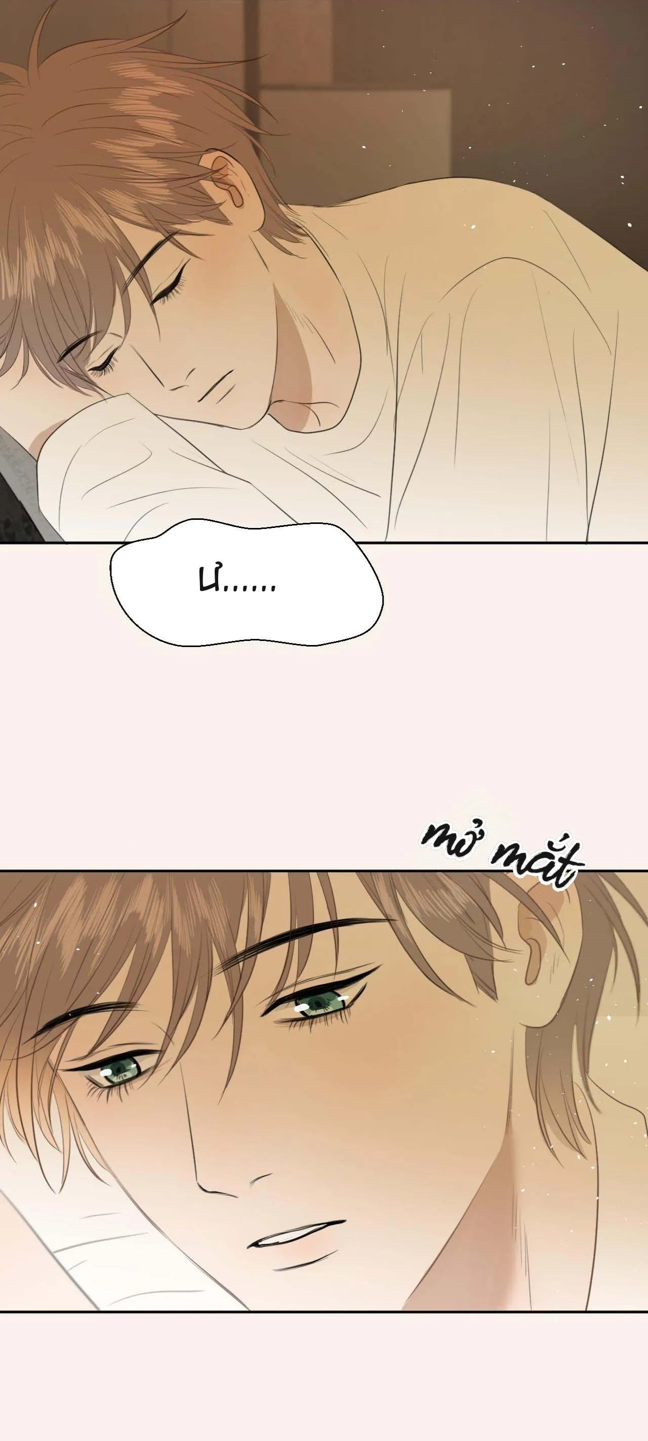 Không Tỳ Vết Chapter 5 Trang 3