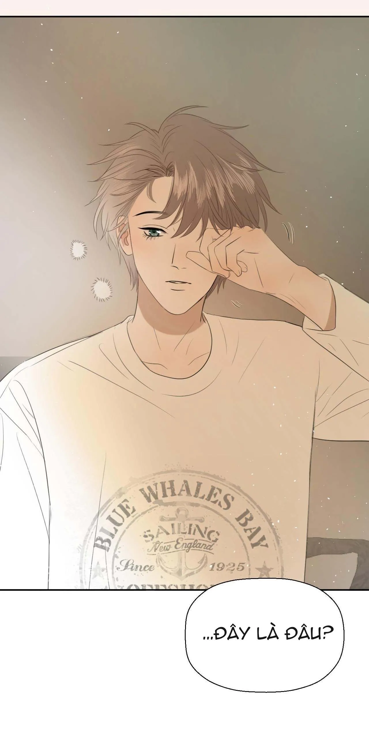 Không Tỳ Vết Chapter 5 Trang 5