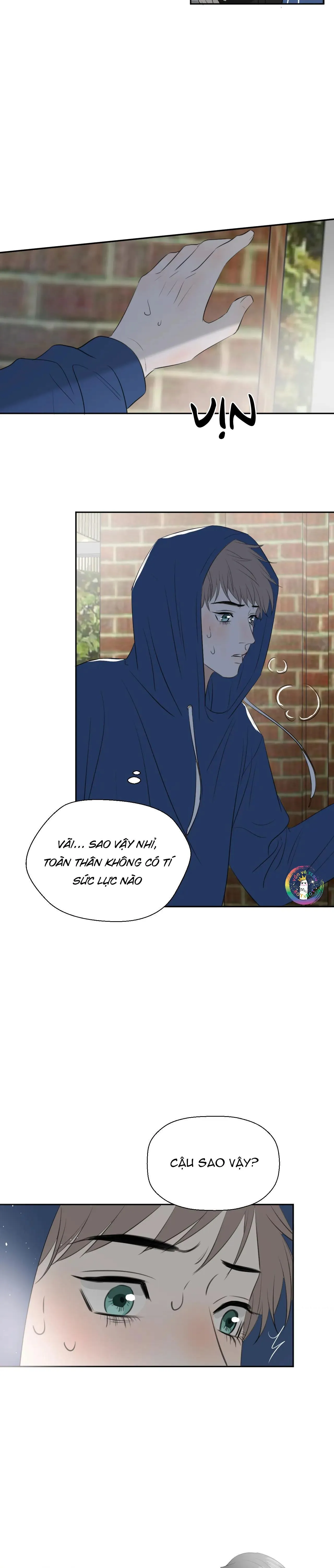 Không Tỳ Vết Chapter 22 Trang 5