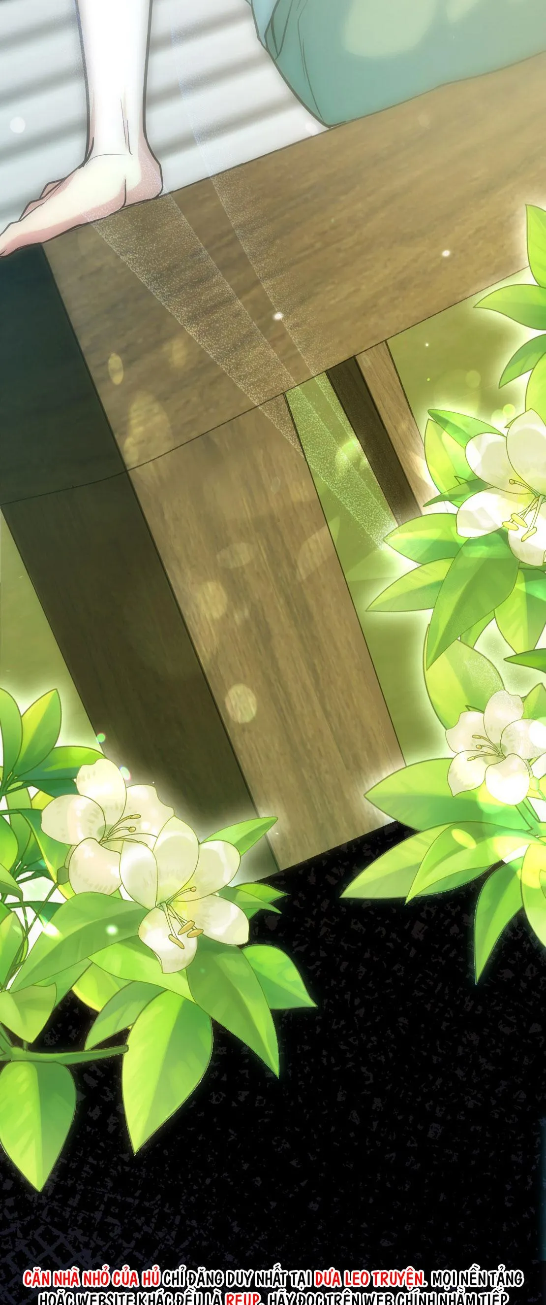 KHU RỪNG NGỌT NGÀO Chapter 0 Trang 8