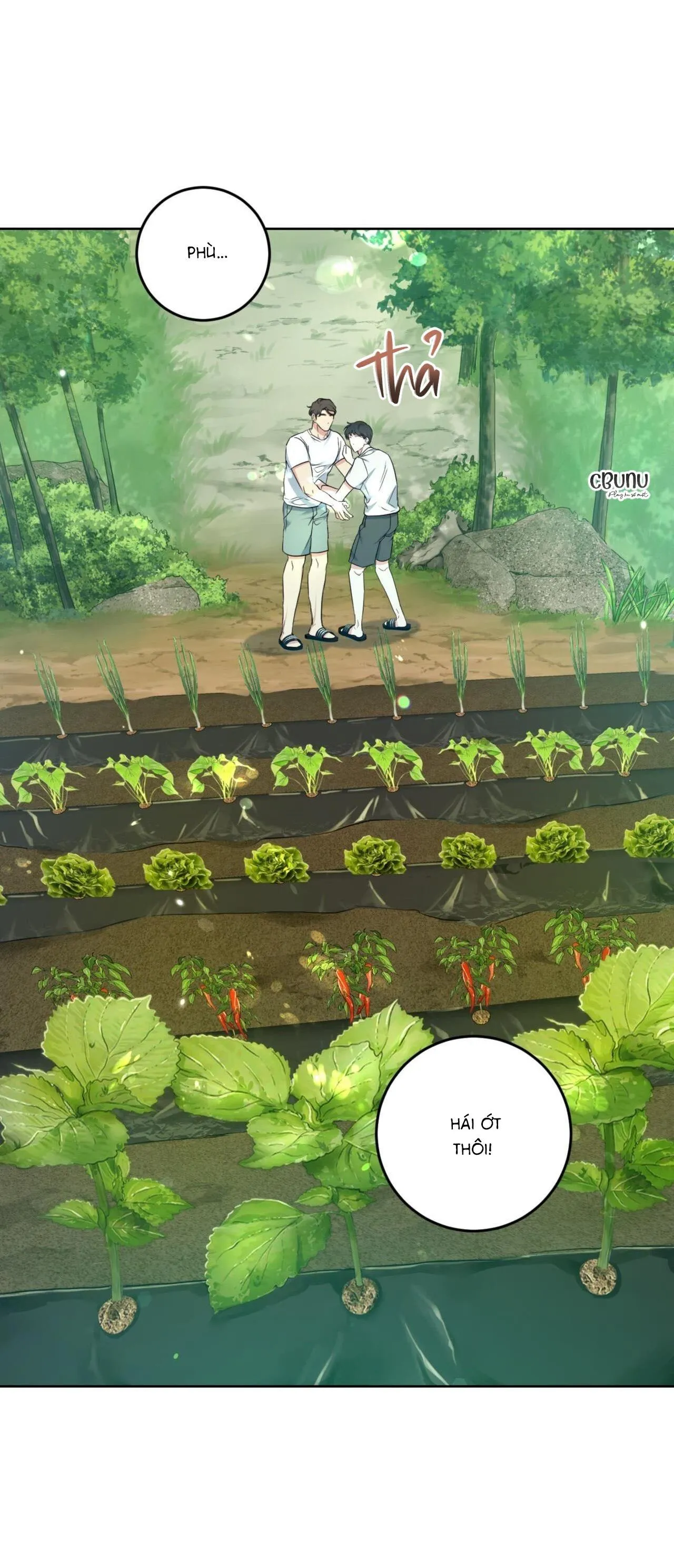 Khu Rừng Tĩnh Lặng Chapter 3 Trang 27