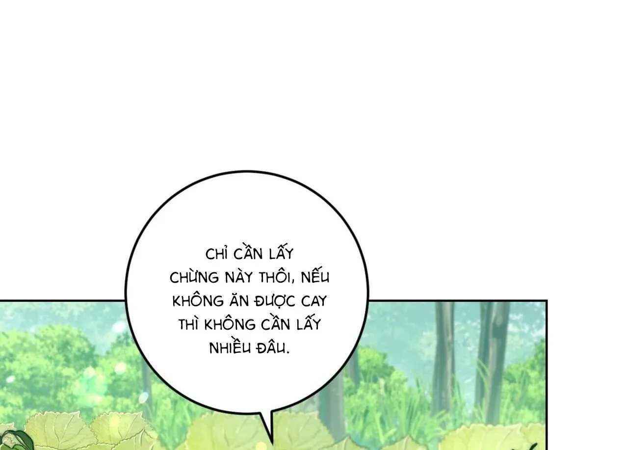 Khu Rừng Tĩnh Lặng Chapter 3 Trang 28