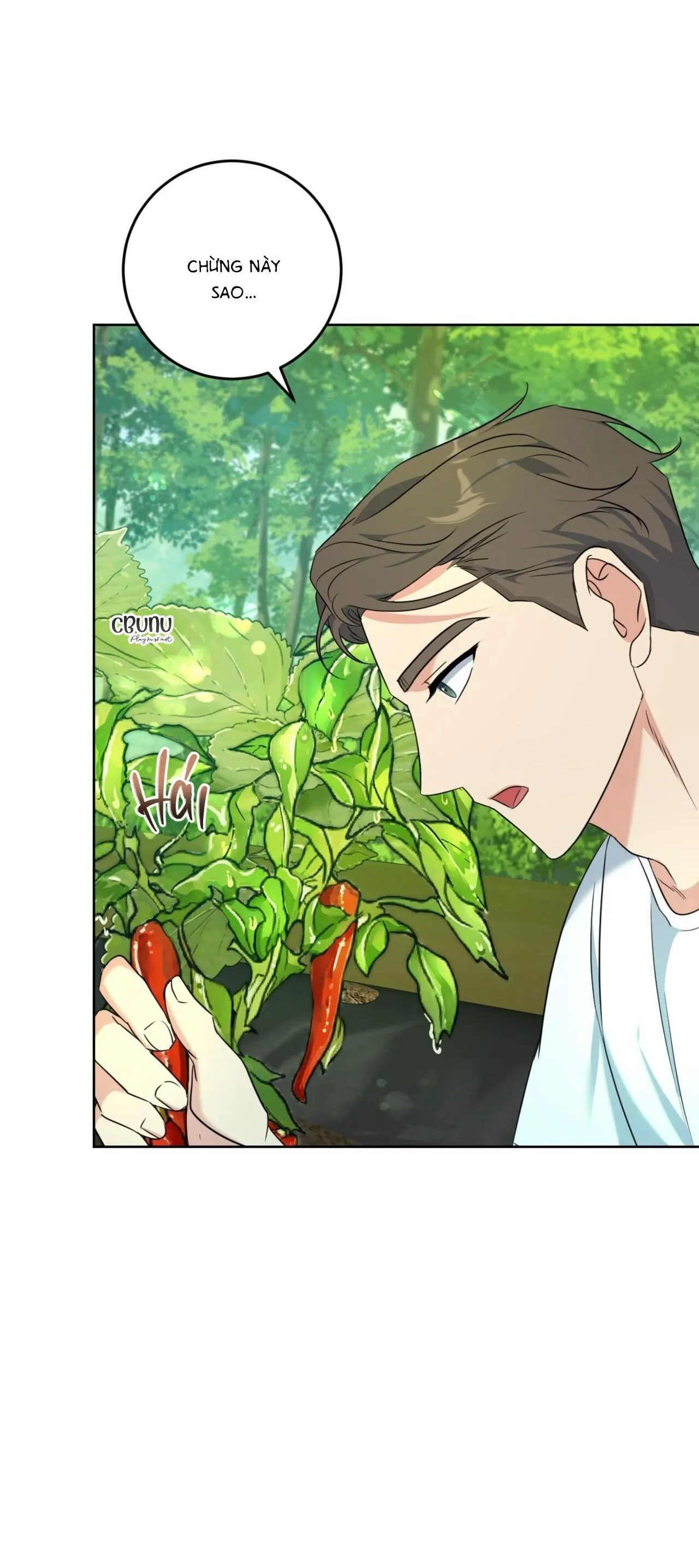 Khu Rừng Tĩnh Lặng Chapter 3 Trang 31