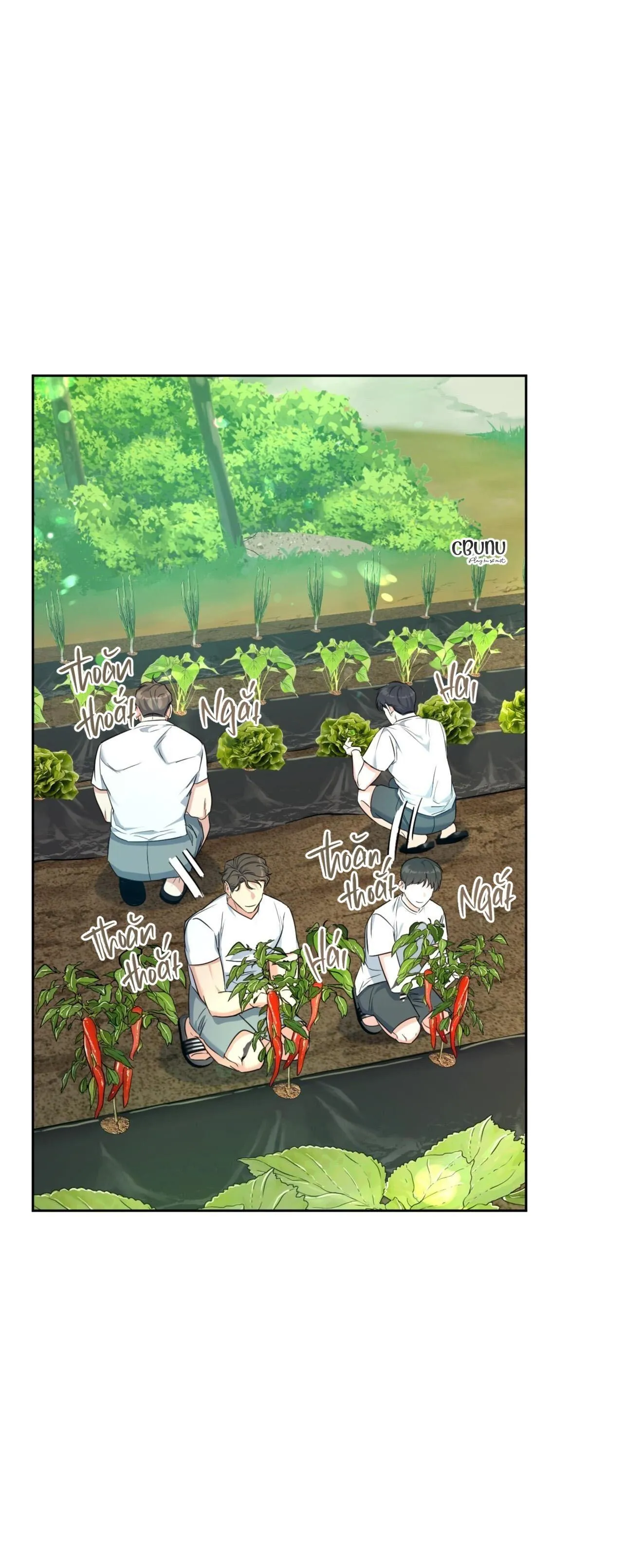 Khu Rừng Tĩnh Lặng Chapter 3 Trang 32