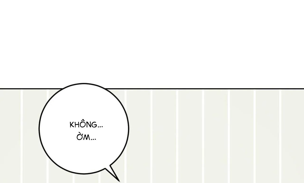 Khu Rừng Tĩnh Lặng Chapter 11 Trang 42