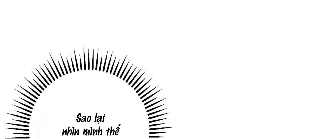 Khu Rừng Tĩnh Lặng Chapter 16 Trang 48