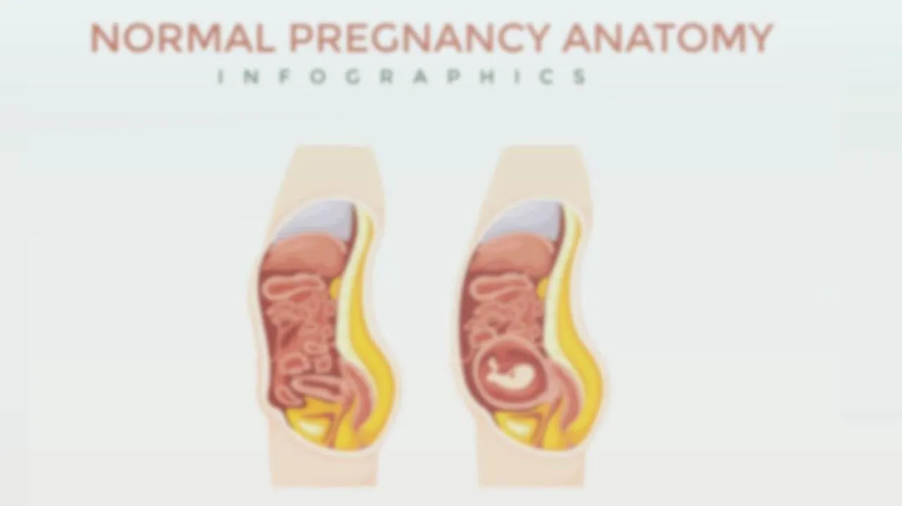 Khu Rừng Tĩnh Lặng Chapter 34 Trang 23