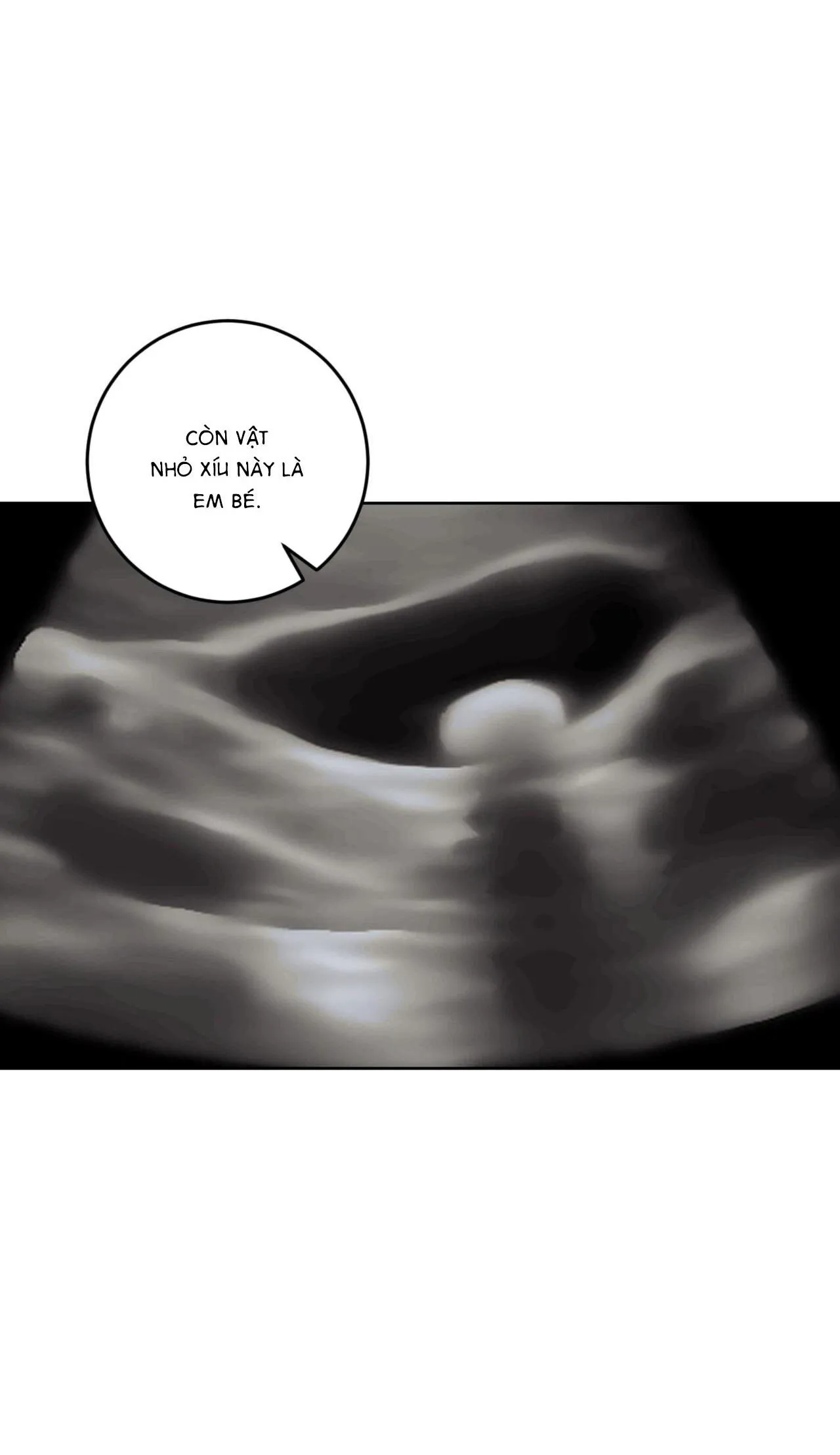 Khu Rừng Tĩnh Lặng Chapter 38 Trang 5