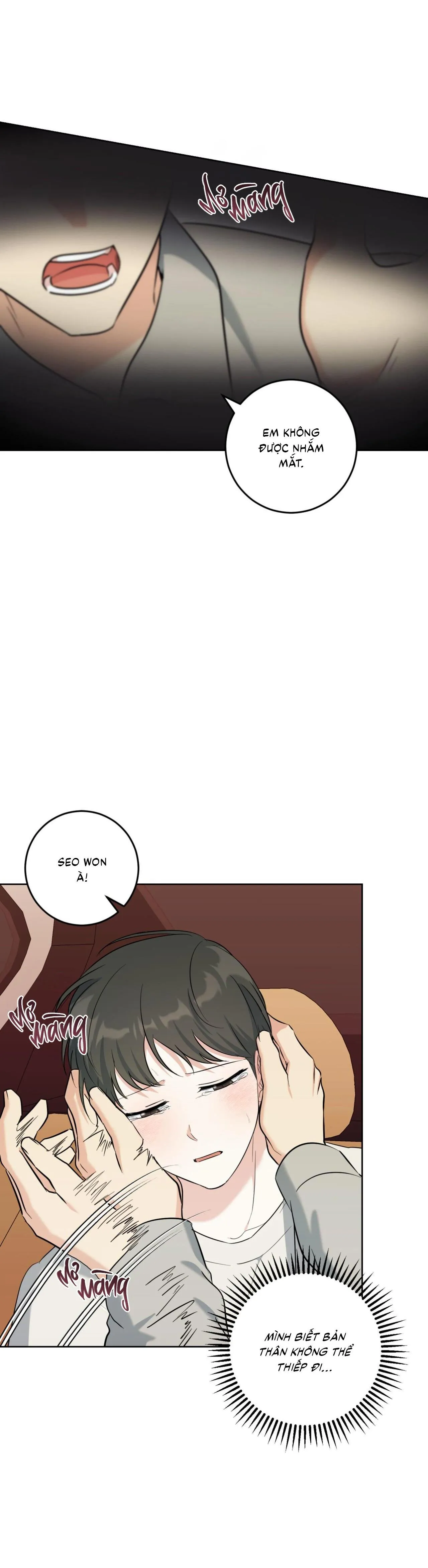 Khu Rừng Tĩnh Lặng Chapter 52 Trang 62