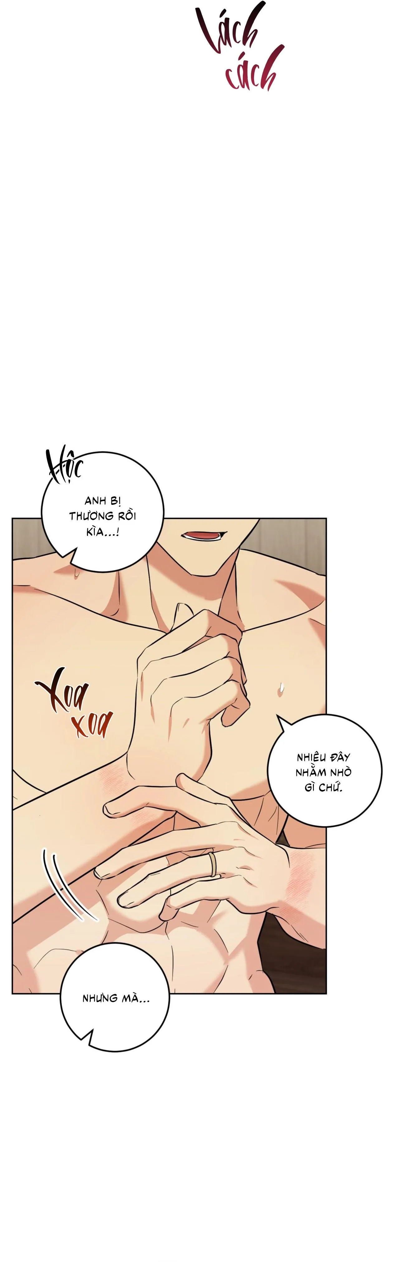 Khu Rừng Tĩnh Lặng Chapter 70 Trang 4