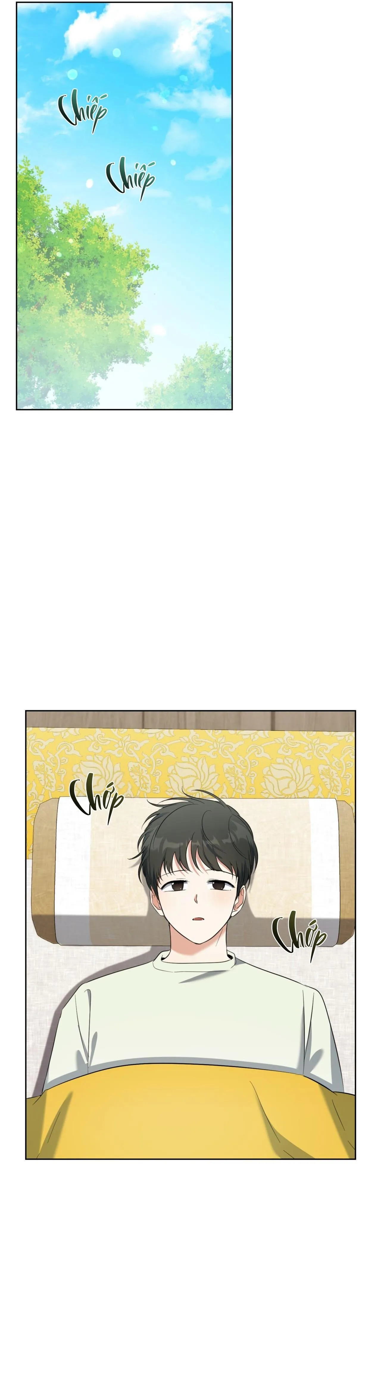 Khu Rừng Tĩnh Lặng Chapter 70 Trang 20