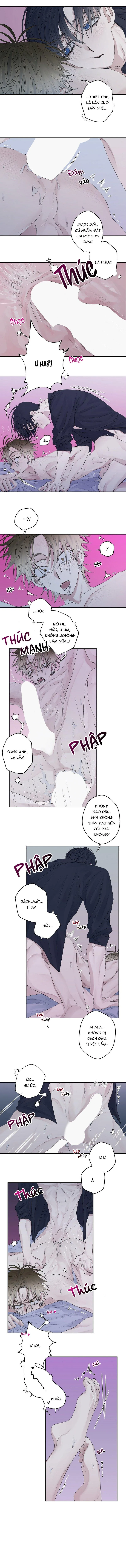 Khu vực cấm lãng mạn Chapter 13 Trang 3